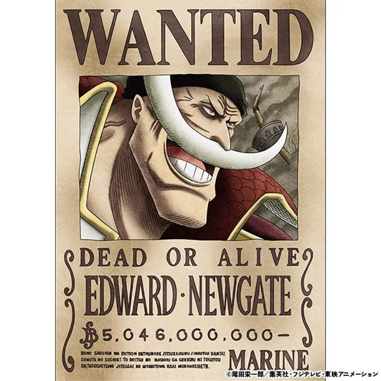 “One Piece" Anime Merch - Marine Issued Official Wanted Poster - Doki Doki Land