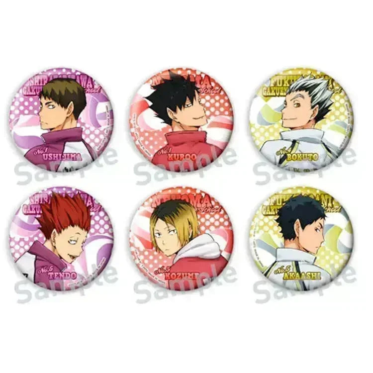 Haikyu!! Anime Merch - Color Palette Looking Back Tin Badge