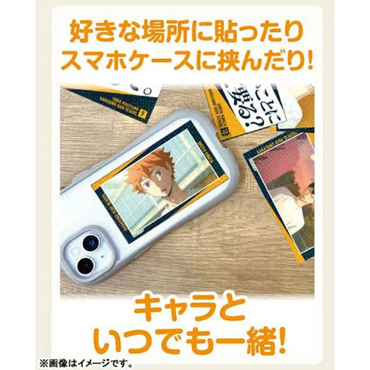 Haikyu!! Anime Merch - Kiratto Memory Cut Sticker Karasuno High School / Aoba Johsai High School - Doki Doki Land
