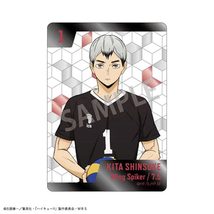 Haikyu!! Anime Merch - Picharm Collection (1 Random) - Doki Doki Land