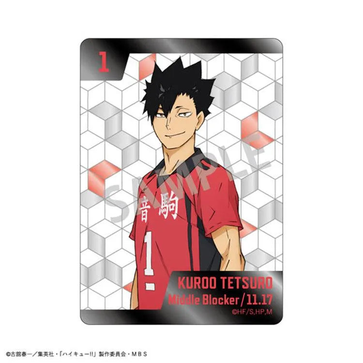 Haikyu!! Anime Merch - Picharm Collection (1 Random) - Doki Doki Land