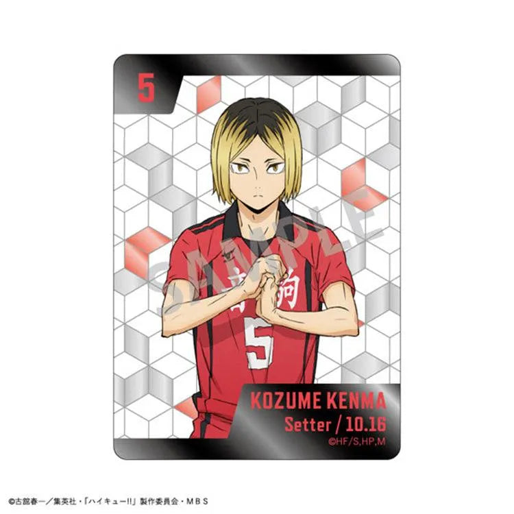 Haikyu!! Anime Merch - Picharm Collection (1 Random) - Doki Doki Land