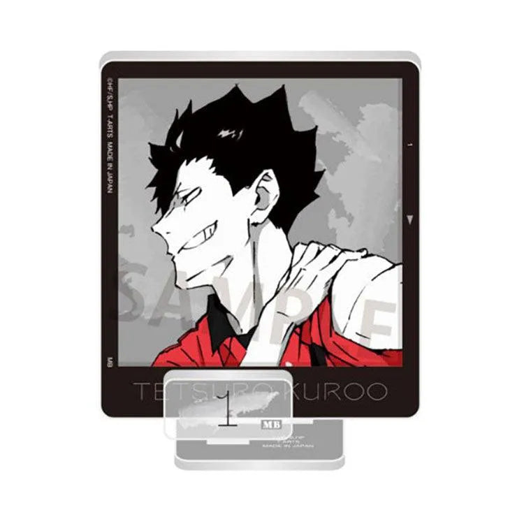 Haikyu!! Anime Merch - Portrait Style ZOOMY Acrylic Stand - Doki Doki Land