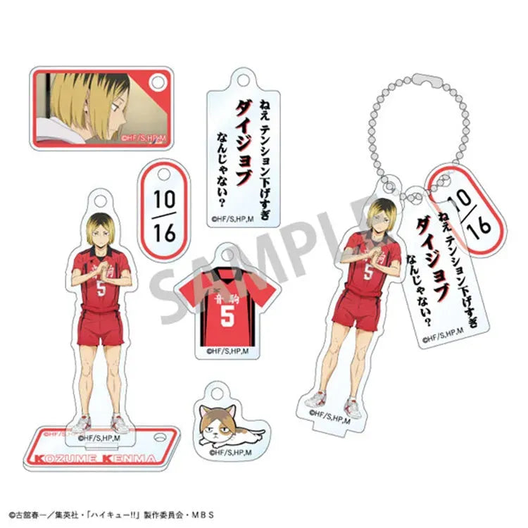 Haikyu!! Anime Merch - Trading Acrylic Stand Charm Vol.1 (1 Random) - Doki Doki Land