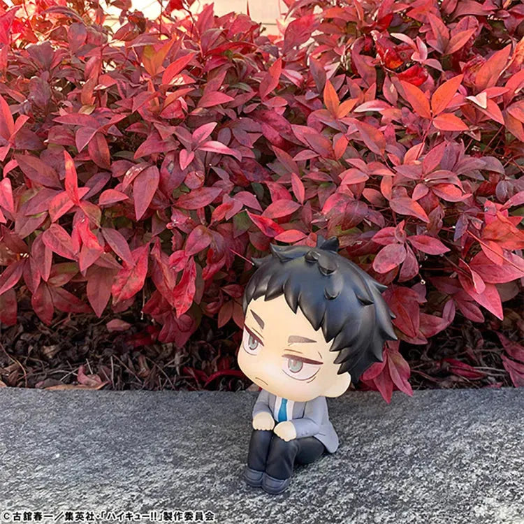 (Pre-Order END) Haikyu!! Look Up - Keiji Akaashi - Doki Doki Land