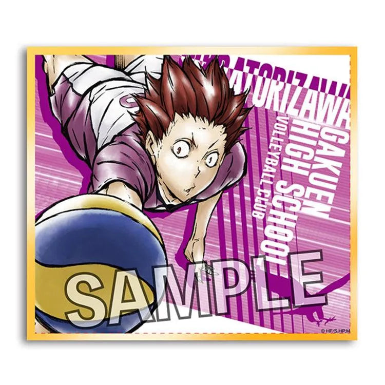 Haikyu!! Anime Merch - Hologram Shikishi Collection (1 Random) - Doki Doki Land