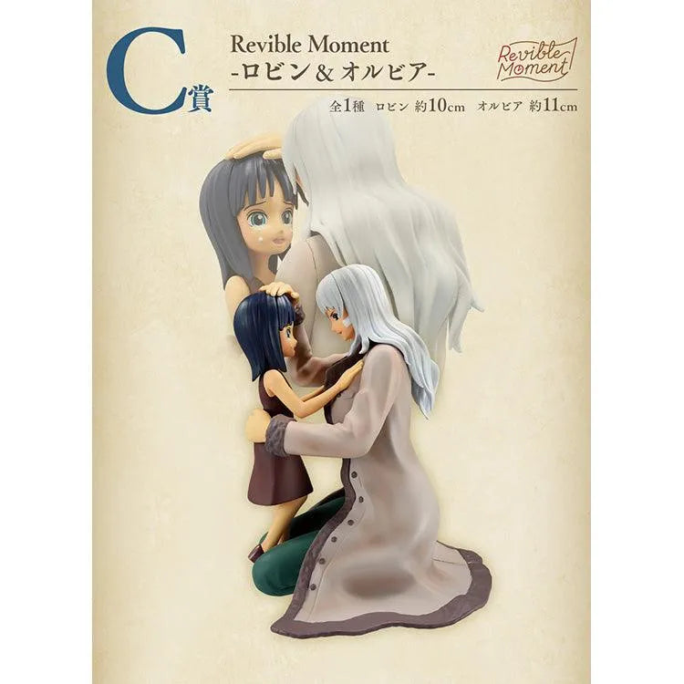 Ichiban Kuji "One Piece" - Emotional Stories