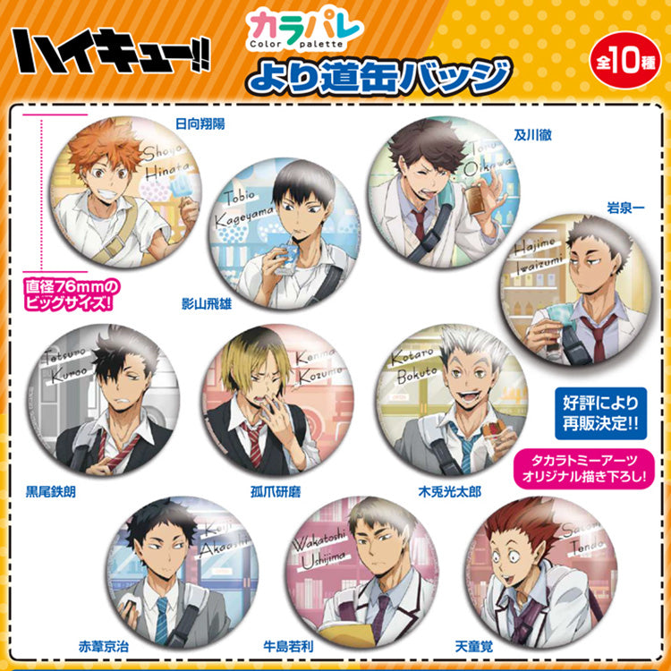 Haikyu!! Color Palette Yorimichi Tin Badge