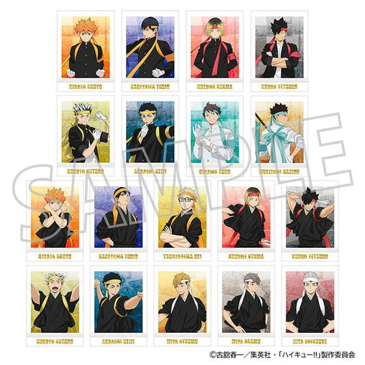Haikyu!! Anime Merch - Pasha Colle PREMIUM (1 Random) - Doki Doki Land