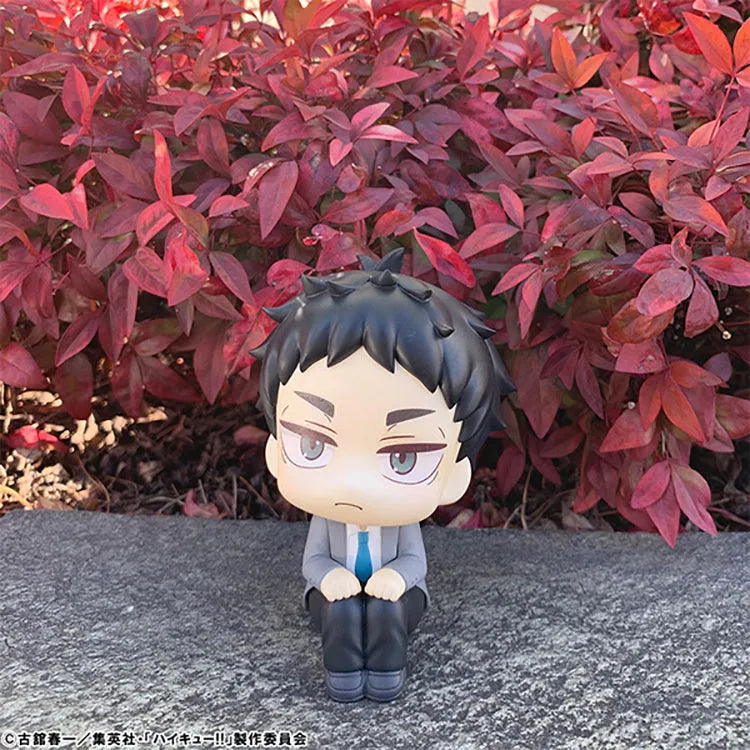 (Pre-Order END) Haikyu!! Look Up - Keiji Akaashi - Doki Doki Land 