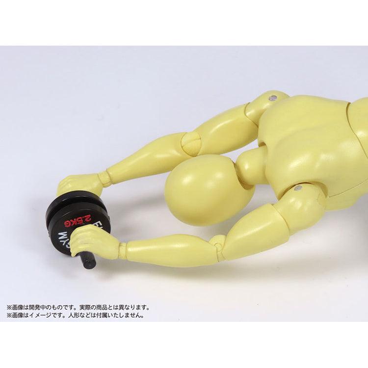 Painted Plastic Model - Pripra Muscular Workout for Figures 1/12