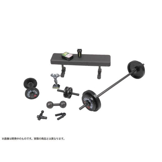 Painted Plastic Model - Puripura Muscular Workout for Figures 1/12 - Doki Doki Land